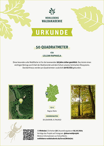 Primeval Forest Protected Area 1