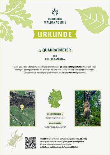 Primeval Forest Protected Area 2