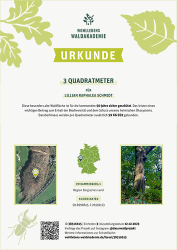 Primeval Forest Protected Area 3