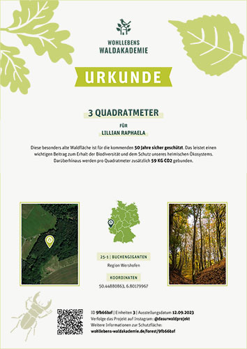 Primeval Forest Protected Area 4