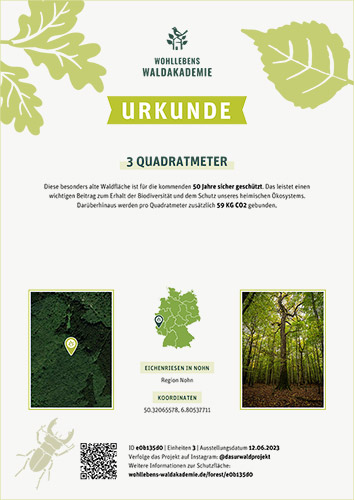 Primeval Forest Protected Area 5