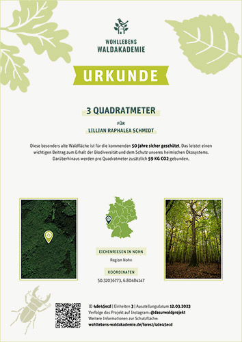 Primeval Forest Protected Area 6