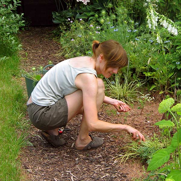 Meditative Gardening