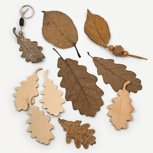 Autumn Leaves and Brown Leather Leaves