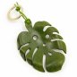 Preview: Monstera Leaf Leather Charm