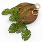 Preview: Cascading Monstera Leather Keychain