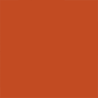Burnt Orange